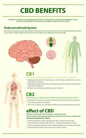 Cannabis Benefits