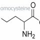 How do I Lower My Homocysteine Levels