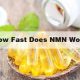 How Fast Does Nmn Work