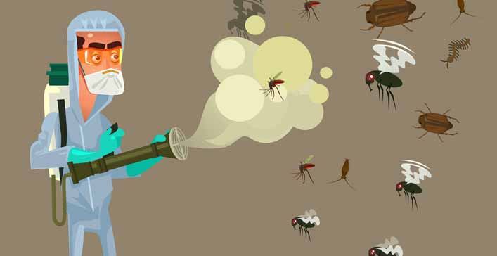 How to Trap and Kill Mosquitoes in your House