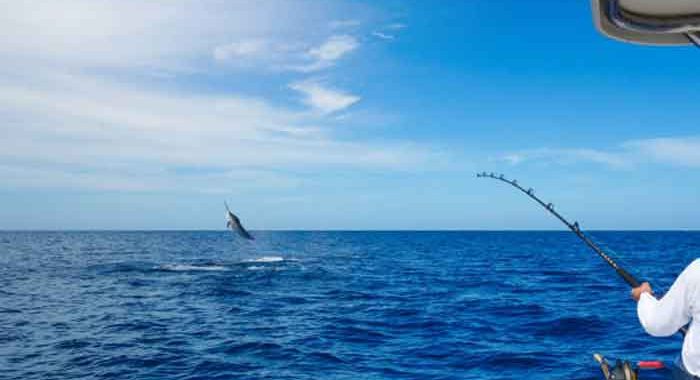 What is Deep Sea Fishing and Why Should You Go