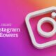 How to Buy Instagram Followers in 2021: A Comprehensive Guide
