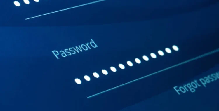 Why a Complex Password Generator Is Key to Protecting Your Accounts